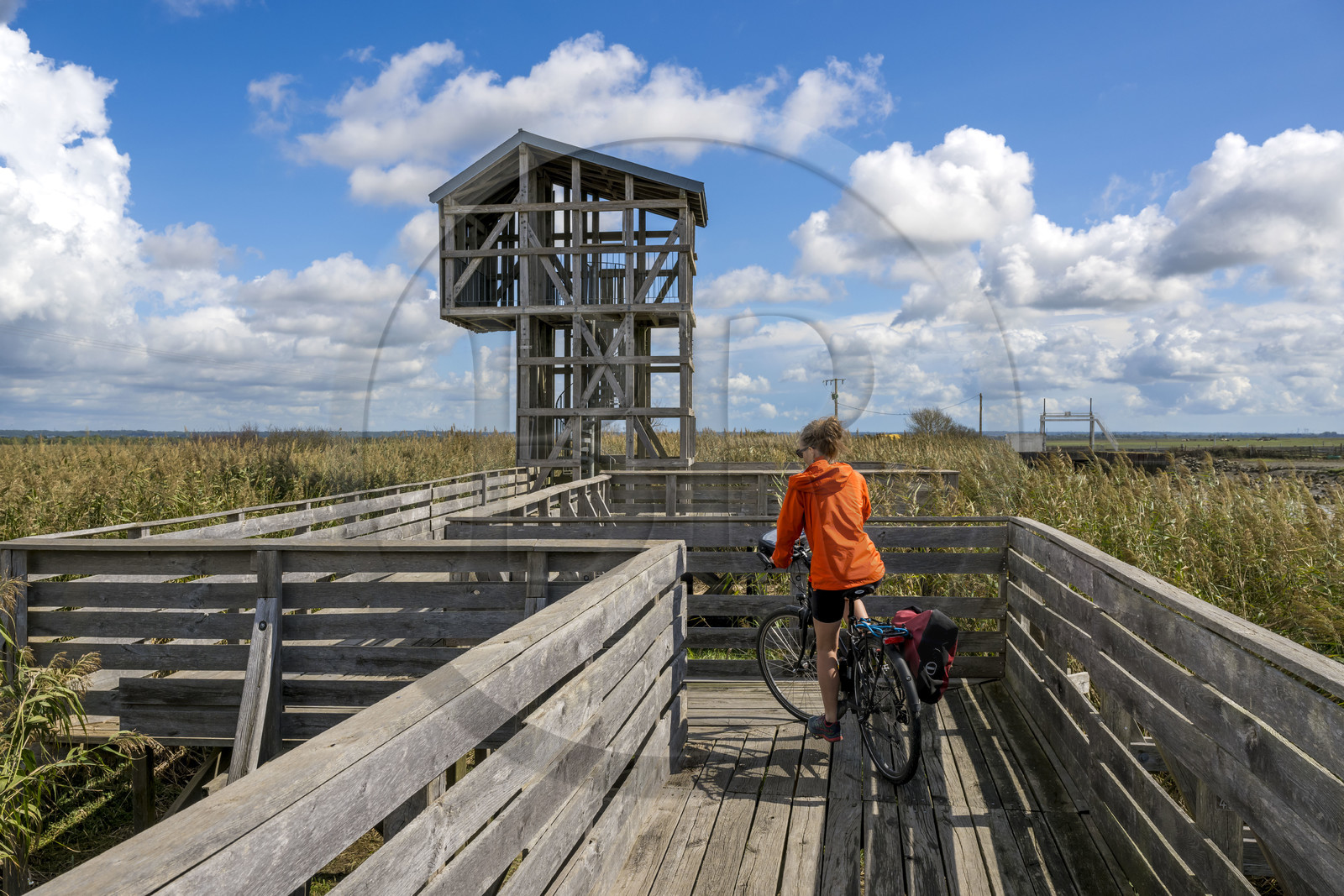 France, Loire-Atlantique (44), Lavau-sur-Loire, collection d'art contemporain à ciel ouvert Estuaire, l’Observatoire réalisé par l'artiste Tadashi Kawamata