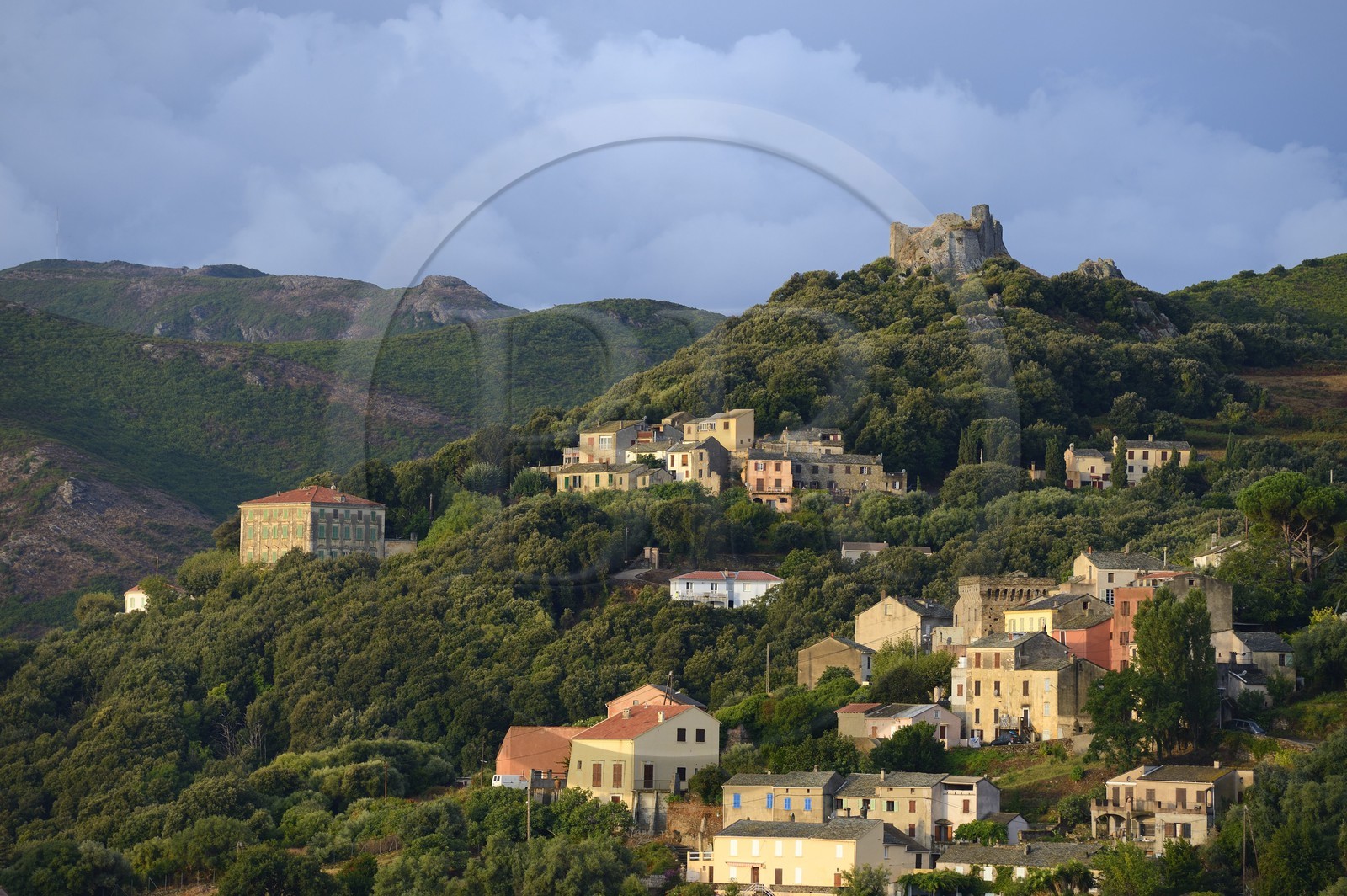 France, Haute-Corse (2B), Cap Corse, commune de Rogliano, village de Bettolacce (Bettulace),