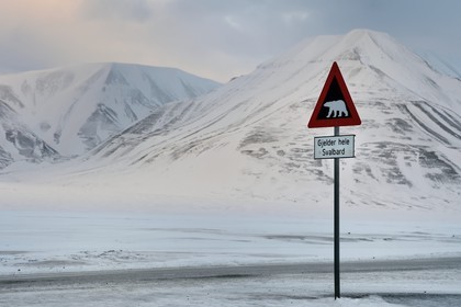 Norvège, Svalbard, Spitzberg, vallée de Adventdalen, panneau de signalisation de danger potentiel de présence d'ours blanc à la sortie de Longyearbyen, Gjelder hele Svalbard s'applique à tout le Svalbard