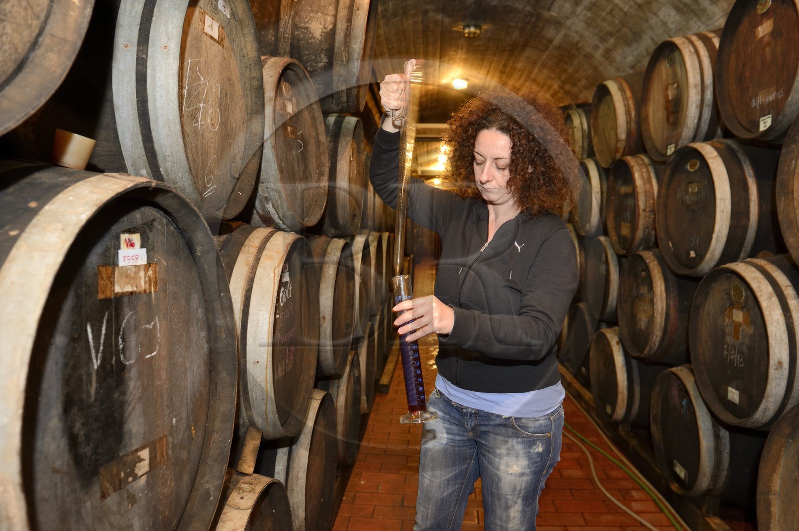 Grèce, Les Cyclades, mer Égée, île de Santorin (Thira ou Théra), plaine de Oia, Domaine Sigalas