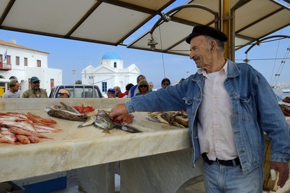 Grèce, Les Cyclades, mer Égée, île de Mykonos, Chora (Mykonos town), marché aux poissons sur le port