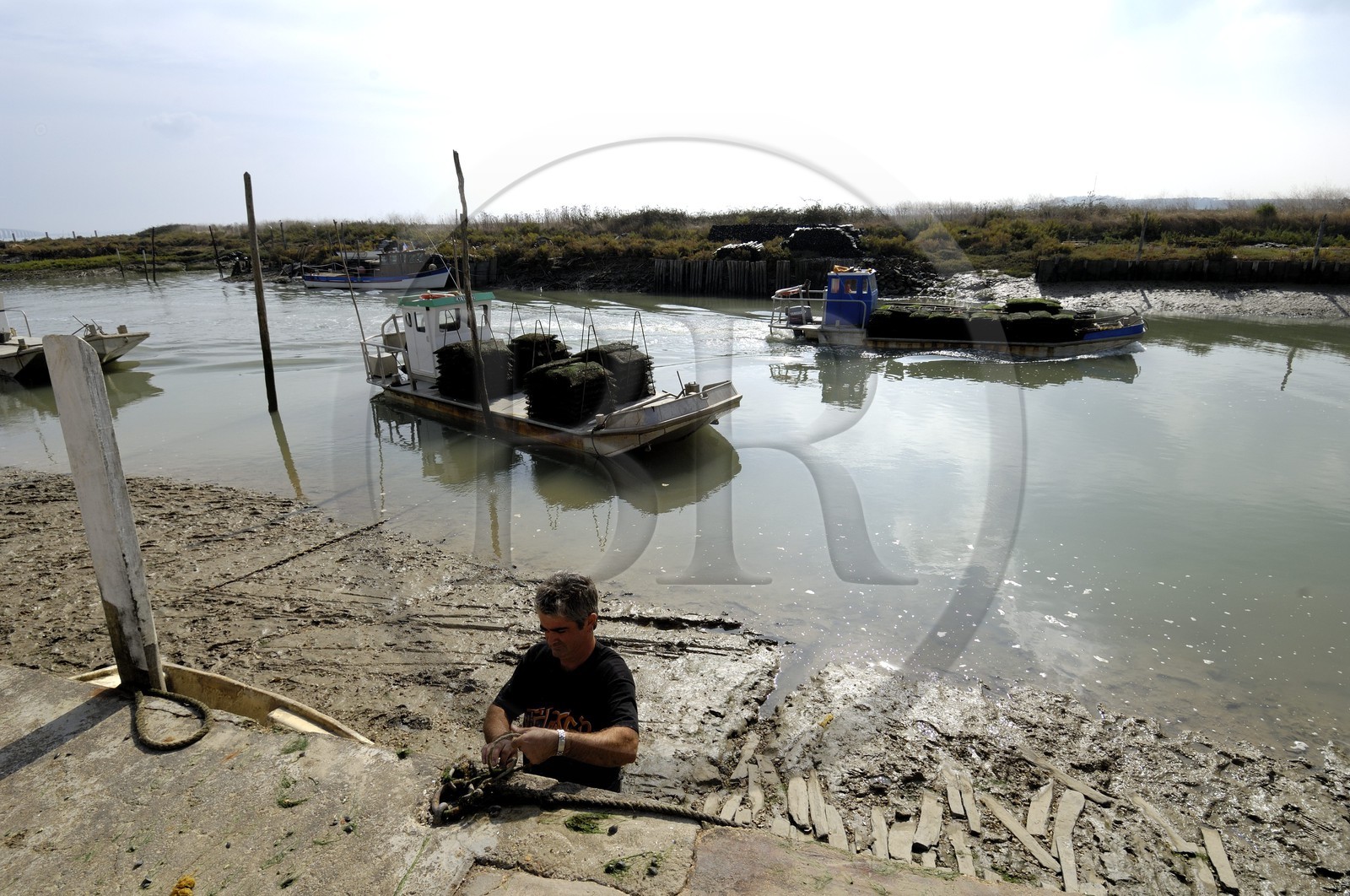 France, Charente-Maritime (17), Ile d'Oléron, le chenal d'Ors, chaland à huîtres dans le port ostréicole