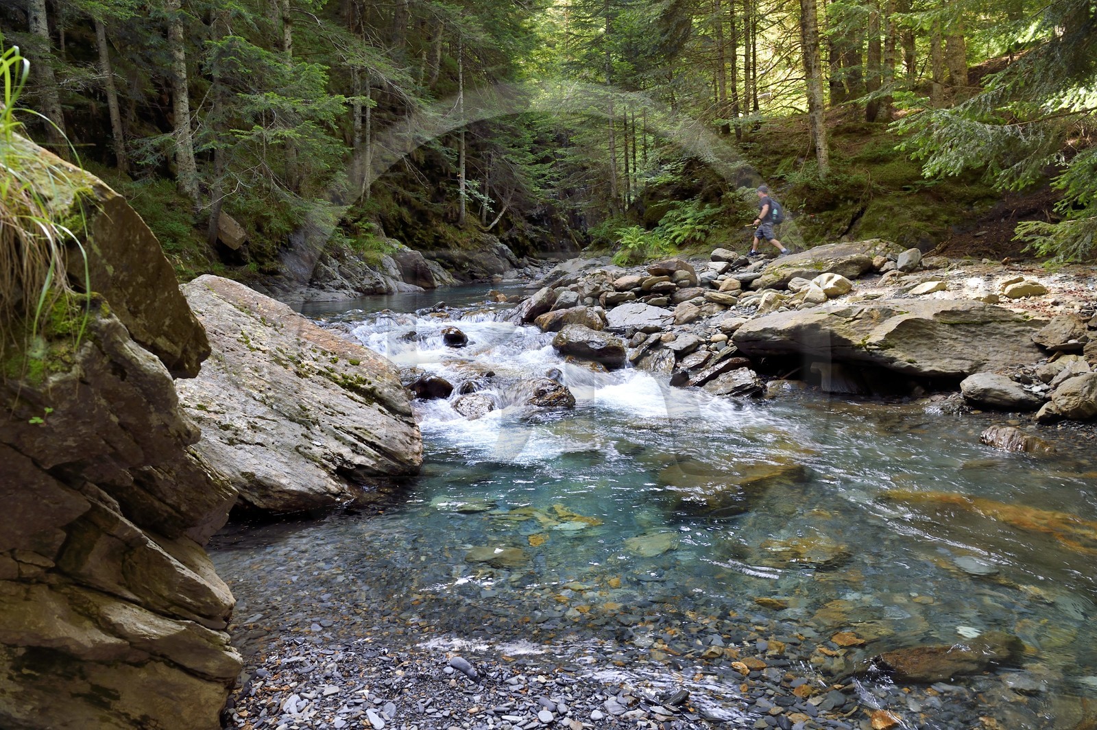 France, Hautes-Pyrénées (65), Saint-Lary-Soulan, vallée du Rioumajou, pecheur à la (rivière) Neste de Rioumajou