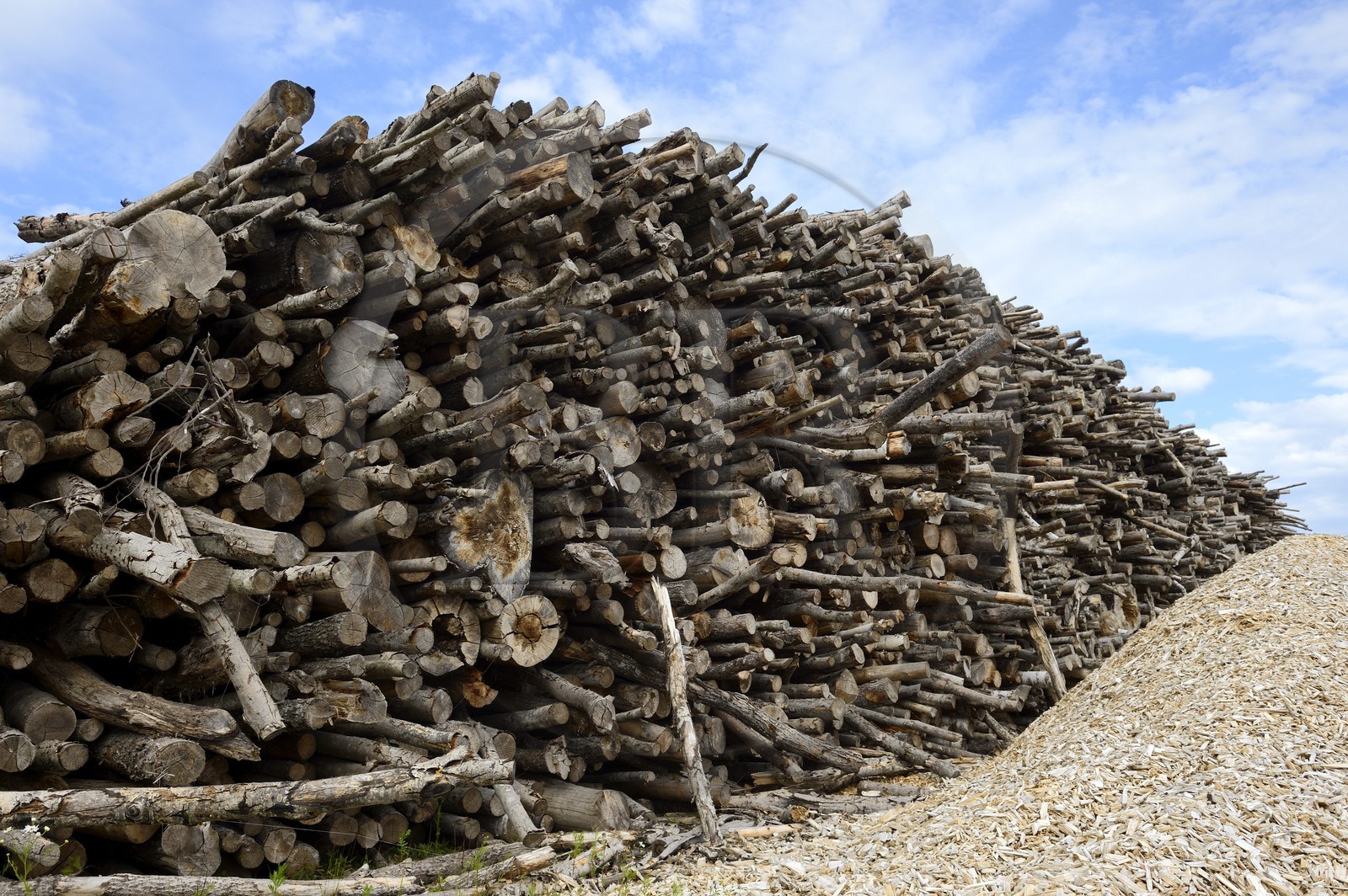 Sweden, Vasterbotten County, Holmsund seaport of Umea, cubic meters of timber at the harbor