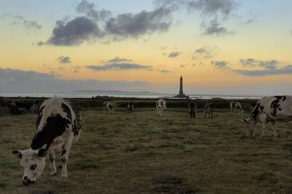 France, Manche (50), Cap de la Hague, le phare du petit port de Goury