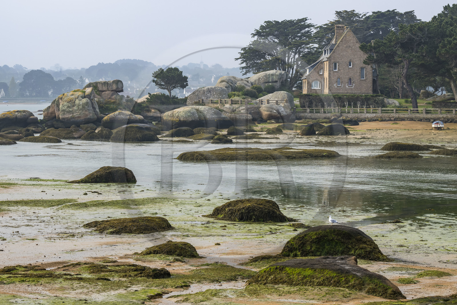 France, Côtes-d'Armor (22), Côte de Granit Rose, Trégastel, Ile Renote, la plage à marée basse