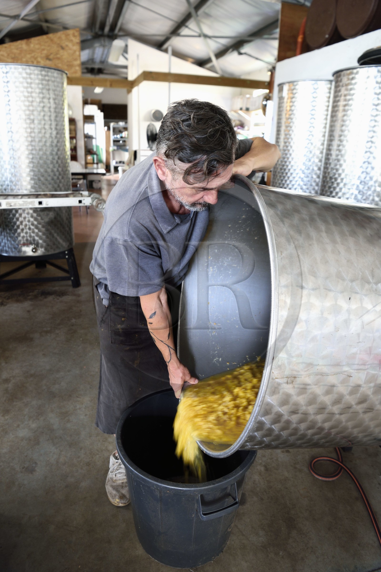 France, Reunion island (French overseas department), La Saline, La Part des Anges Distillation, pineapple collected in tanks after three months of fermentation and before distillation