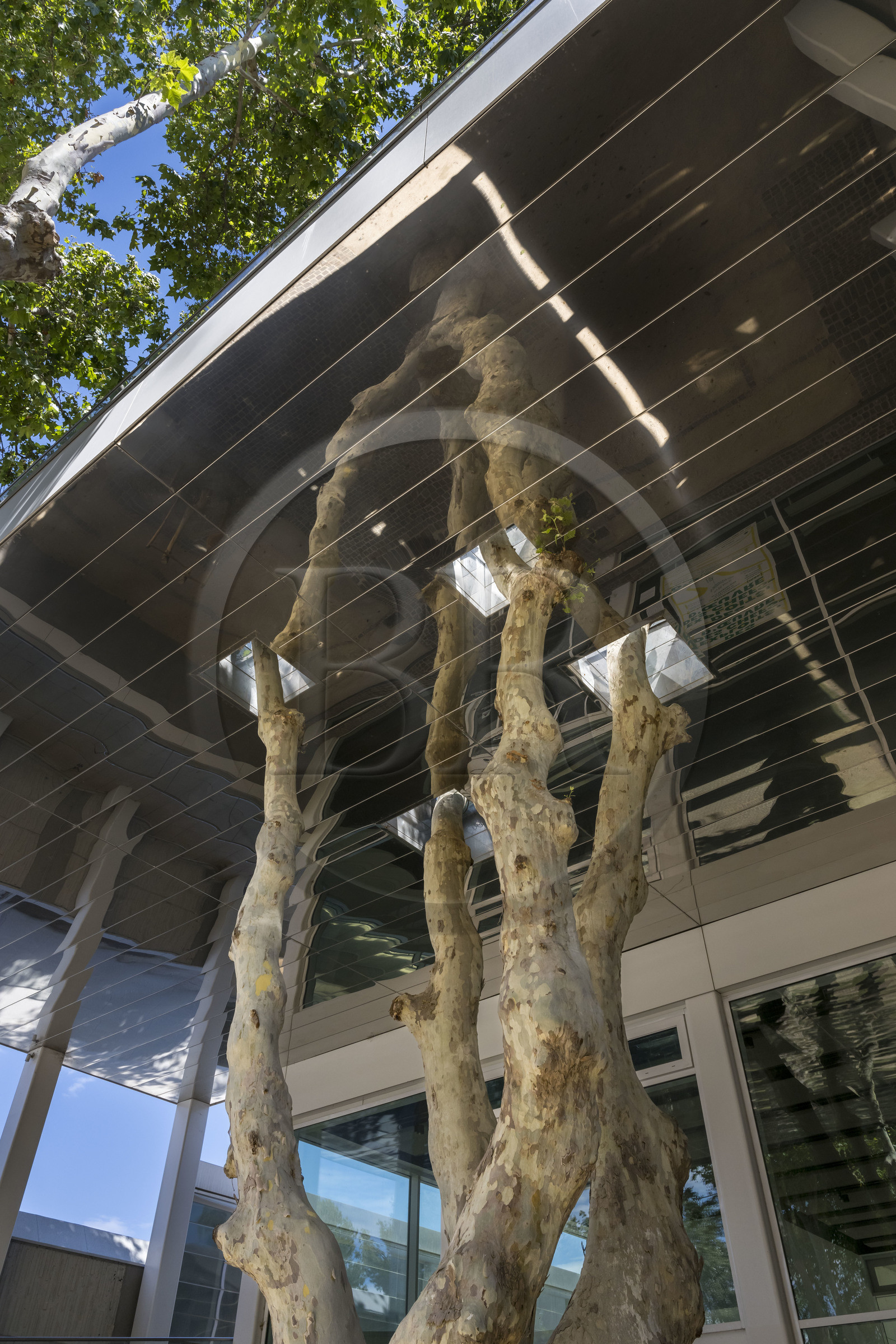 France, Bouches-du-Rhône (13), Marseille, le MAC (musée d'Art Contemporain), rénové en 2023