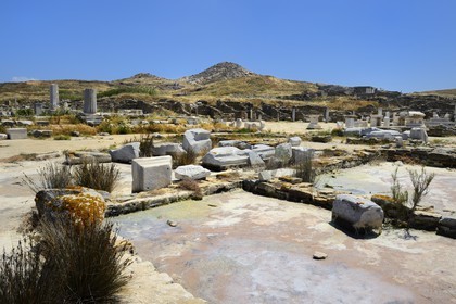 Grèce, île de Delos, classée Patrimoine Mondial de l'UNESCO, site archéologique de Délos, sanctuaire d'Apollon, la plus grande cité antique de la mer Egée, vestiges du quartier du port