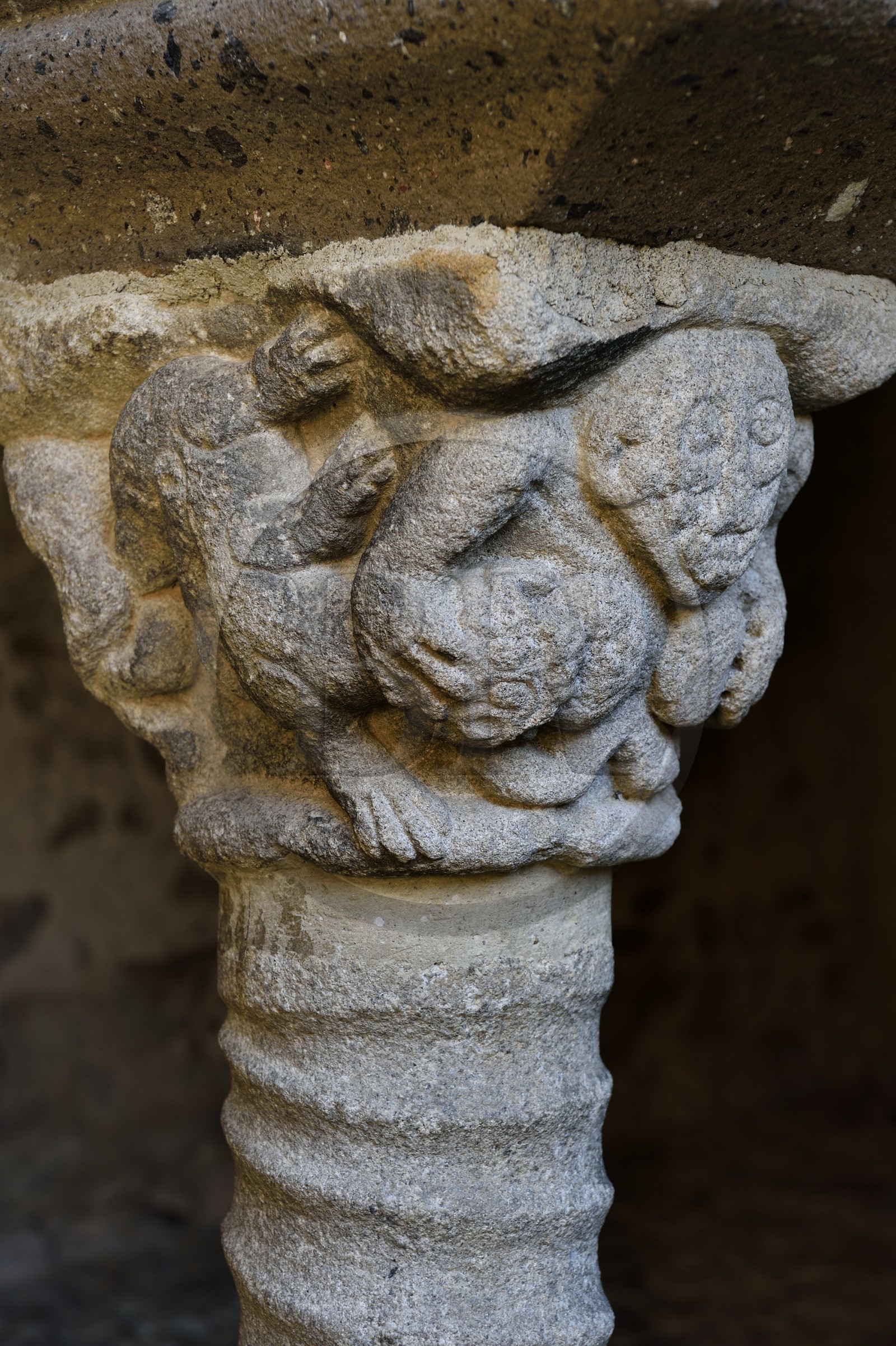 France, Haute Loire, Lavaudieu, labelled Les Plus Beaux Villages de France (The Most Beautiful Villages of France), the former Saint Andre (St Andrew) abbey church in Auvergne Romanesque style, sculpture of a capital of the cloister, an evocation of lust with a woman suckled by salamanders