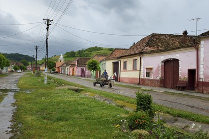 Roumanie, Transylvanie, chariot tracté par un cheval dans le village de Brateiu
