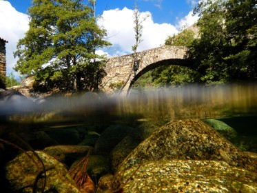 France, Haute Corse, Niolu (Niolo) region, Genoese bridge of Murricciolu and below the Calasima river