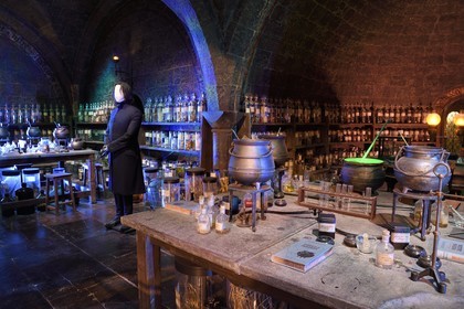 United Kingdom, Hertfordshire, Leavesden, Leavesden Film Studios, Harry Potter Studio Tour London, the scene of the eight Harry Potter movies' making of, magic potions classroom