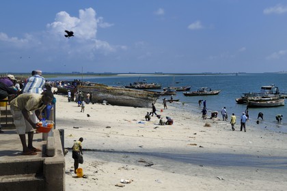 Tanzanie, Dar es-Salaam, intense activité de réparation de coques et de filets sur la plage desservant le marché aux poissons de Kivukoni