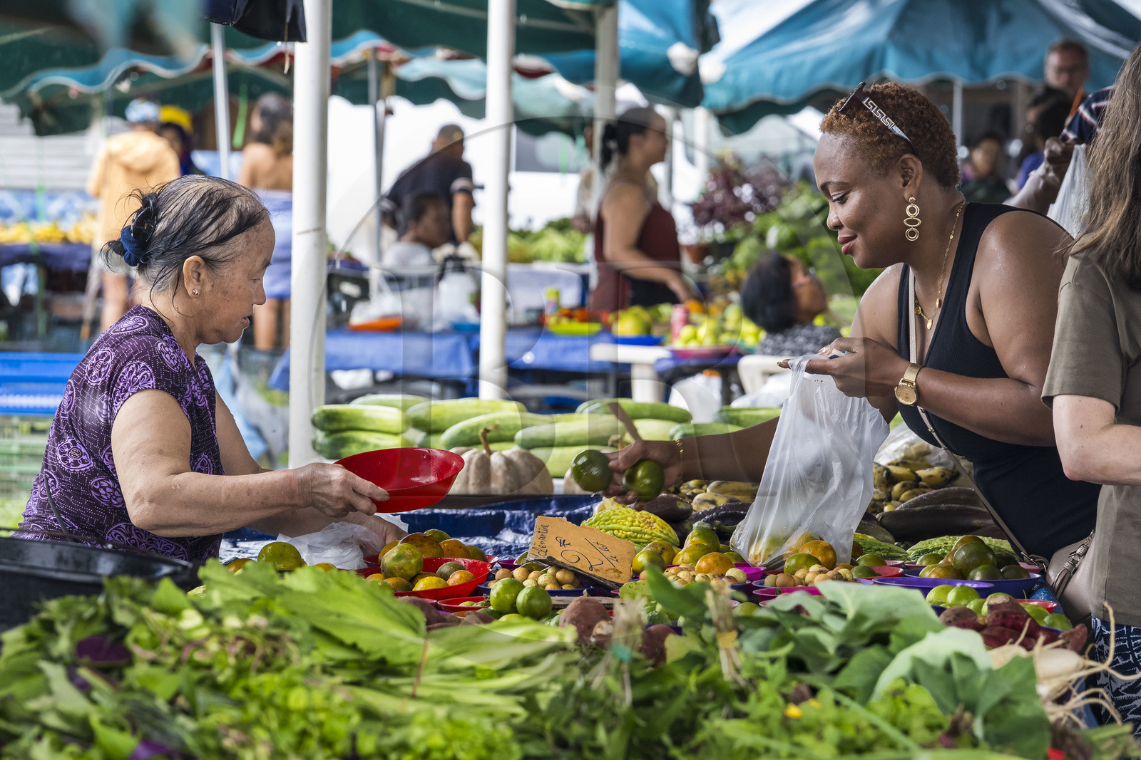 France, Guyane, Javouhey, marché du dimanche Hmong, réfugiés du Laos arrivés en 1978 qui se sont spécialisés dans la culture fruitière, femme Hmong devant son étal vendant des mandarines à une cliente