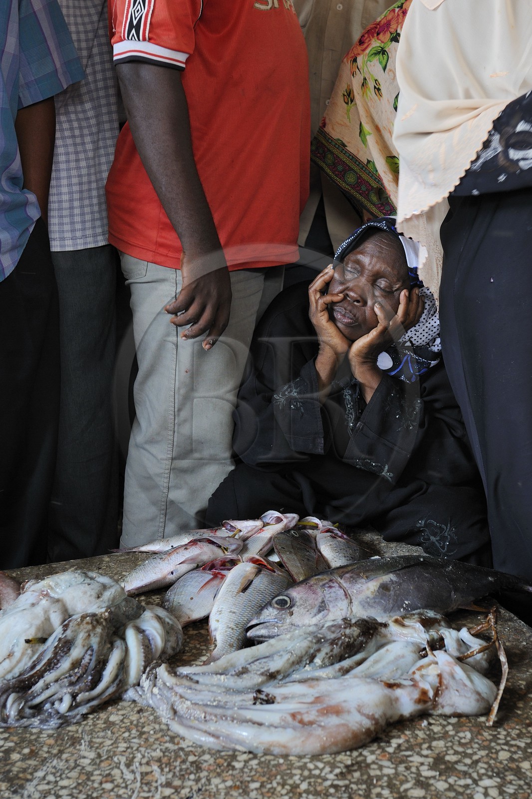 Tanzanie, Zanzibar, Stown Town, le marché de Darajani, marché au poissons