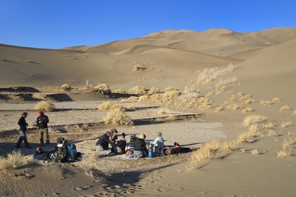 Iran, Province de Yazd, désert du Dasht-e Kavir, Moghestan, massif dunaire dont la plus haute dune atteint les 200 mètres, bivouac