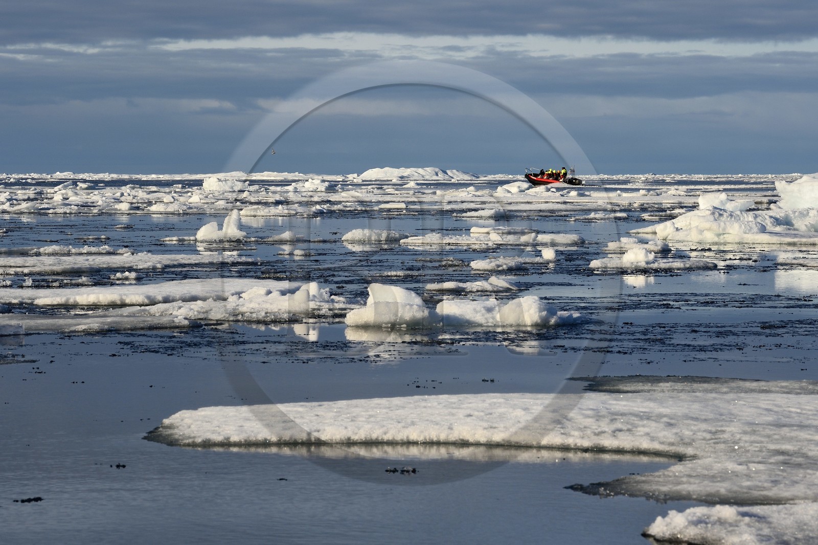 Groenland, cote Nord-Ouest, Smith sound au nord de la baie de Baffin, morceaux de glace de la banquise arctique en train de fondre et un PolarCirkel boat (zodiac) d'exploration du bateau de croisière MS Fram de la compagnie Hurtigruten