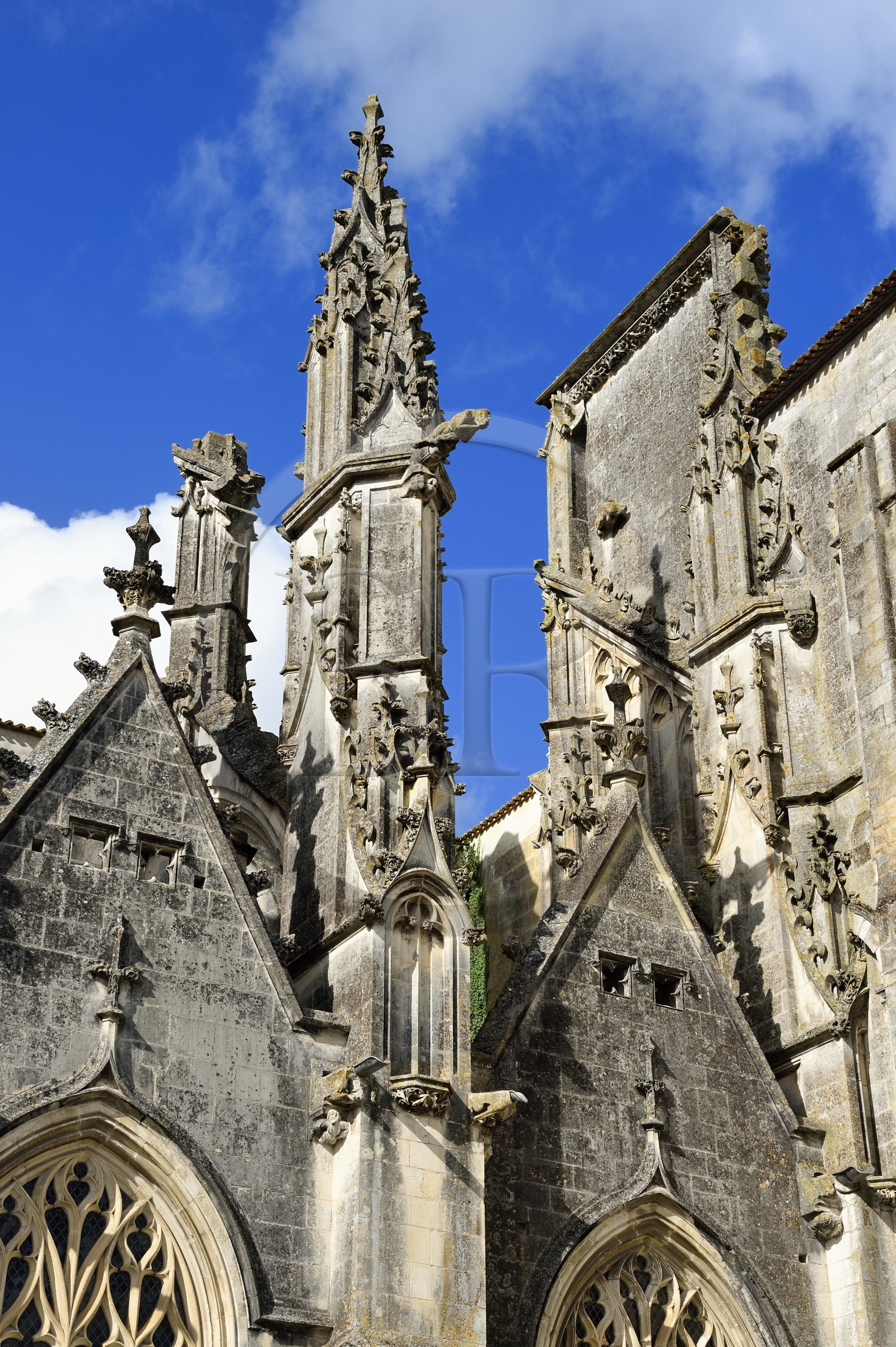 France, Charente-Maritime, Saintonge, Saintes, Saint-Pierre cathedral in the old town