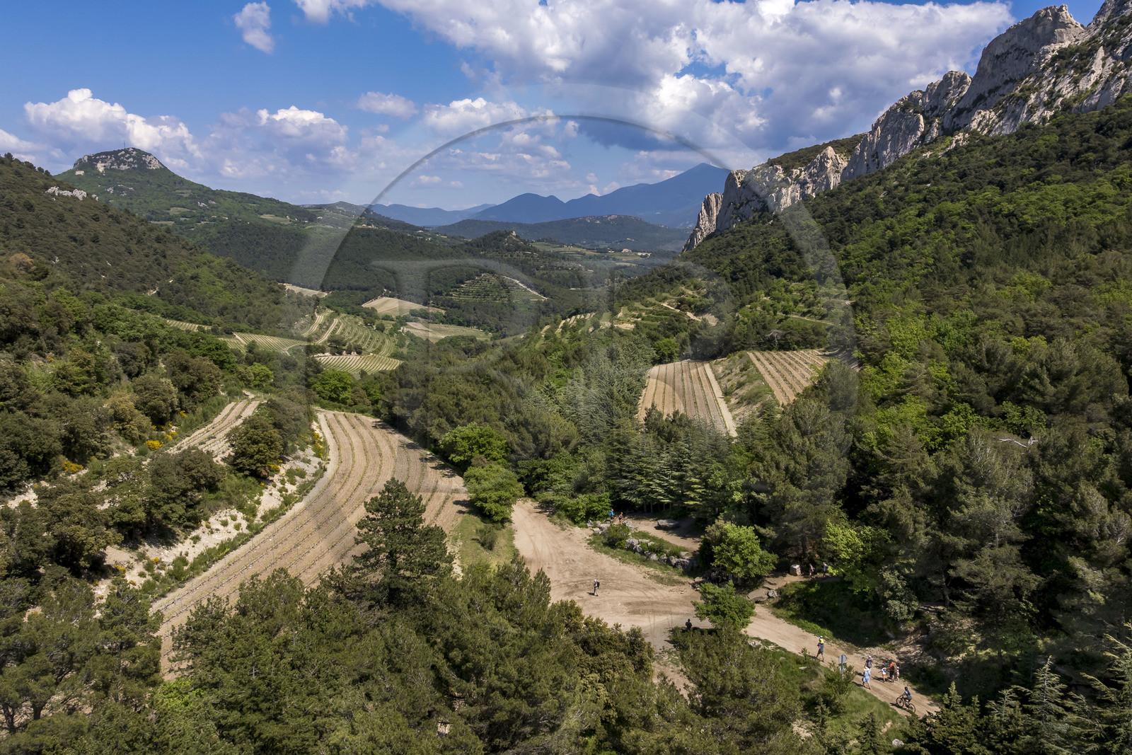 France, Vaucluse (84), Dentelles de Montmirail, Gigondas, la montagne des Dentelles Sarrasines et les vignobles en restanques au col du Cayron, le Mont Ventoux en arrière plan (vue aérienne)