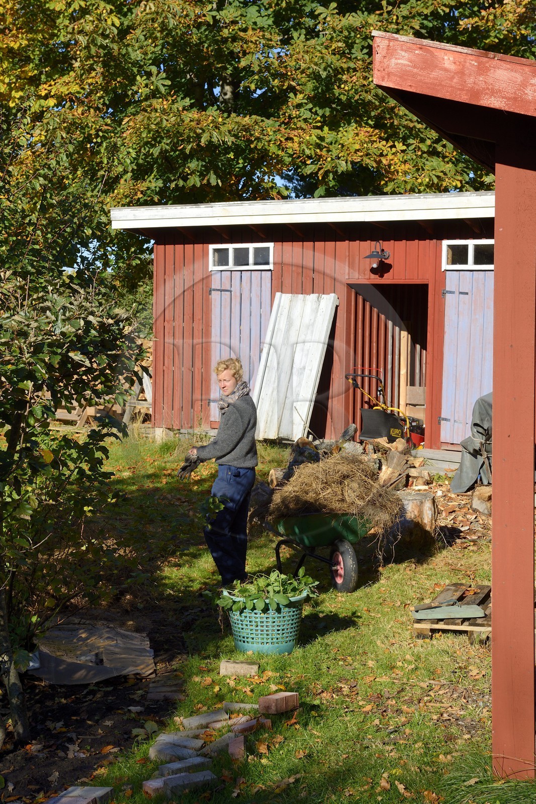 Suède, Västra Götaland, Iles Koster, Sydkoster, les Koster Garden (Koster Tradgardar)