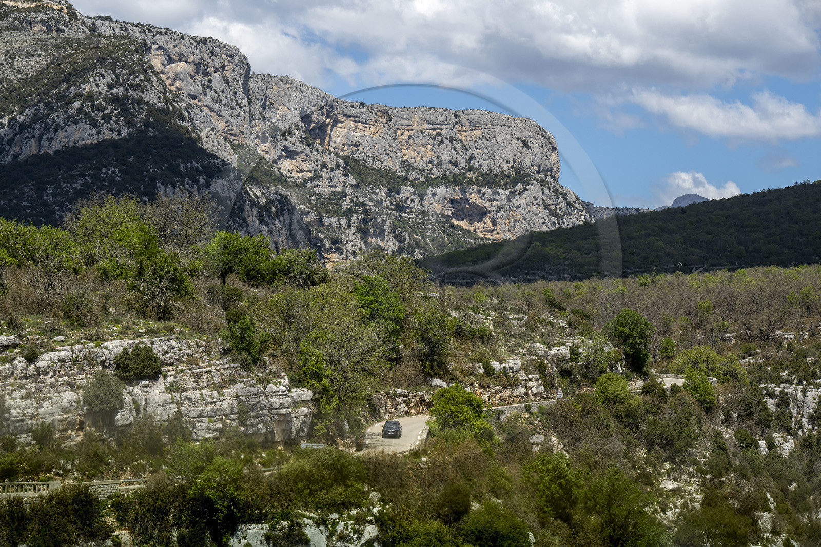 France, Var (83) rive gauche et Alpes-de-Haute-Provence (04) rive droite, Parc Naturel Régional du Verdon, la D71 le long des Gorges de l'Artuby