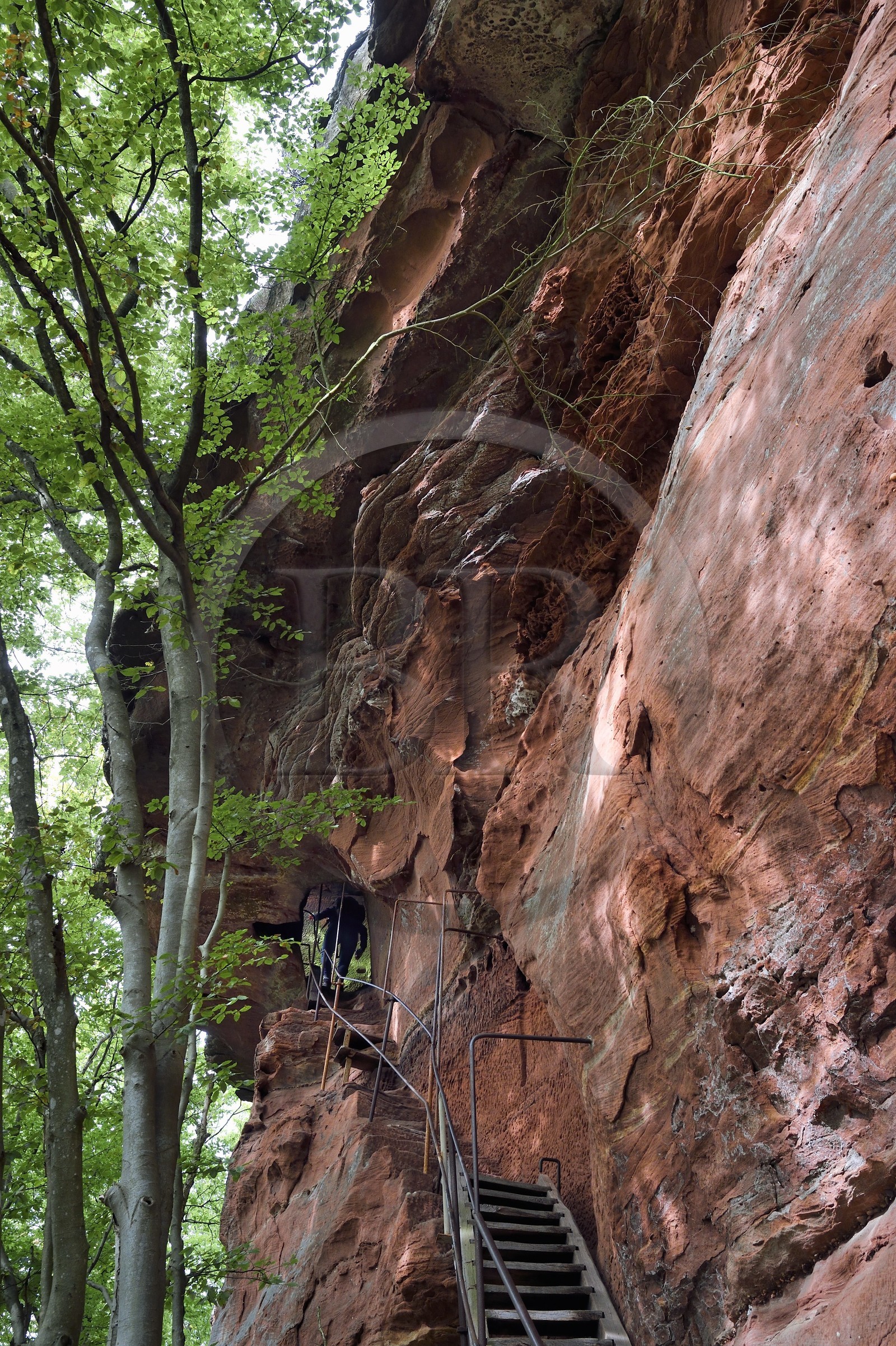 France, Bas-Rhin (67), Parc naturel régional des Vosges du Nord, Niedersteinbach, foret domaniale de Steinbach, rocher en grès appelé Rocher des Tziganes qui possèdait une petite tour de garde