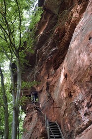 France, Bas Rhin, Northern Vosges Regional Natural Park, Niedersteinbach, Steinbach national forest, sandstone rock called Gypsy Rock that had a small guard tower