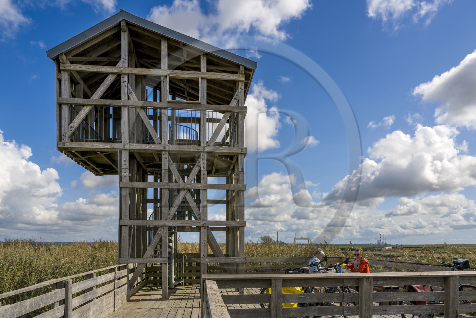 France, Loire-Atlantique (44), Lavau-sur-Loire, collection d'art contemporain à ciel ouvert Estuaire, l’Observatoire réalisé par l'artiste Tadashi Kawamata