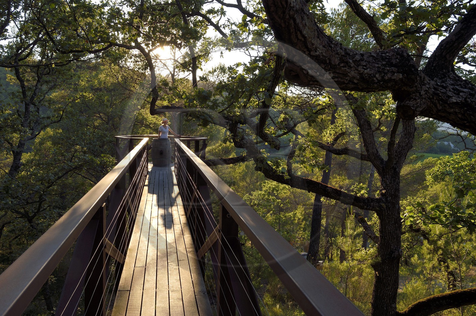 France, Bouches-du-Rhône (13),  Le Puy Sainte Réparade, Chateau La Coste domaine viticole et centre d'art contemporain, Self-portrait: Cat inside a Barrel par l'artiste Tracey Emin (Mention Obligatoire)
