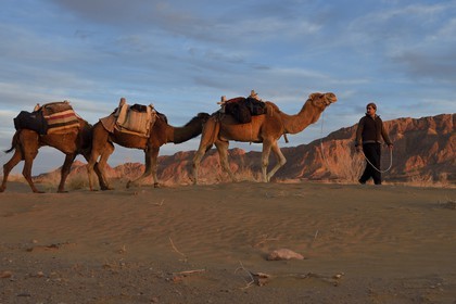 Iran, Isfahan province, Dasht-e Kavir desert, Mesr in Khur and Biabanak County, man leading camel train at the foot of the mountain range of Dareh bidan at sunset