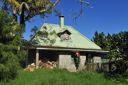 France, île de la Réunion, forêt de Bélouve, gîte de Bélouve