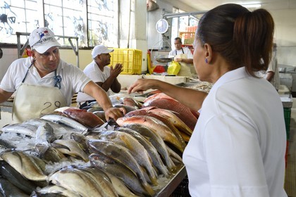 Panama, Panama City, quartier de Santa Ana, le marché aux poisson (Mercado de Mariscos)