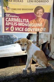 Philippines, Ifugao province, Banaue town