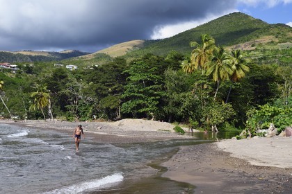 Caraïbes, Ile de la Dominique, Coulibistrie, Batalie Beach et estuaire de la rivière Coulibistrie
