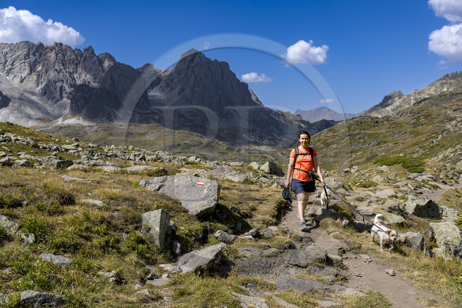 France, Hautes Alpes (05), le Briançonnais, Névache, haute vallée de la Clarée, randonneuse avec ses chiens