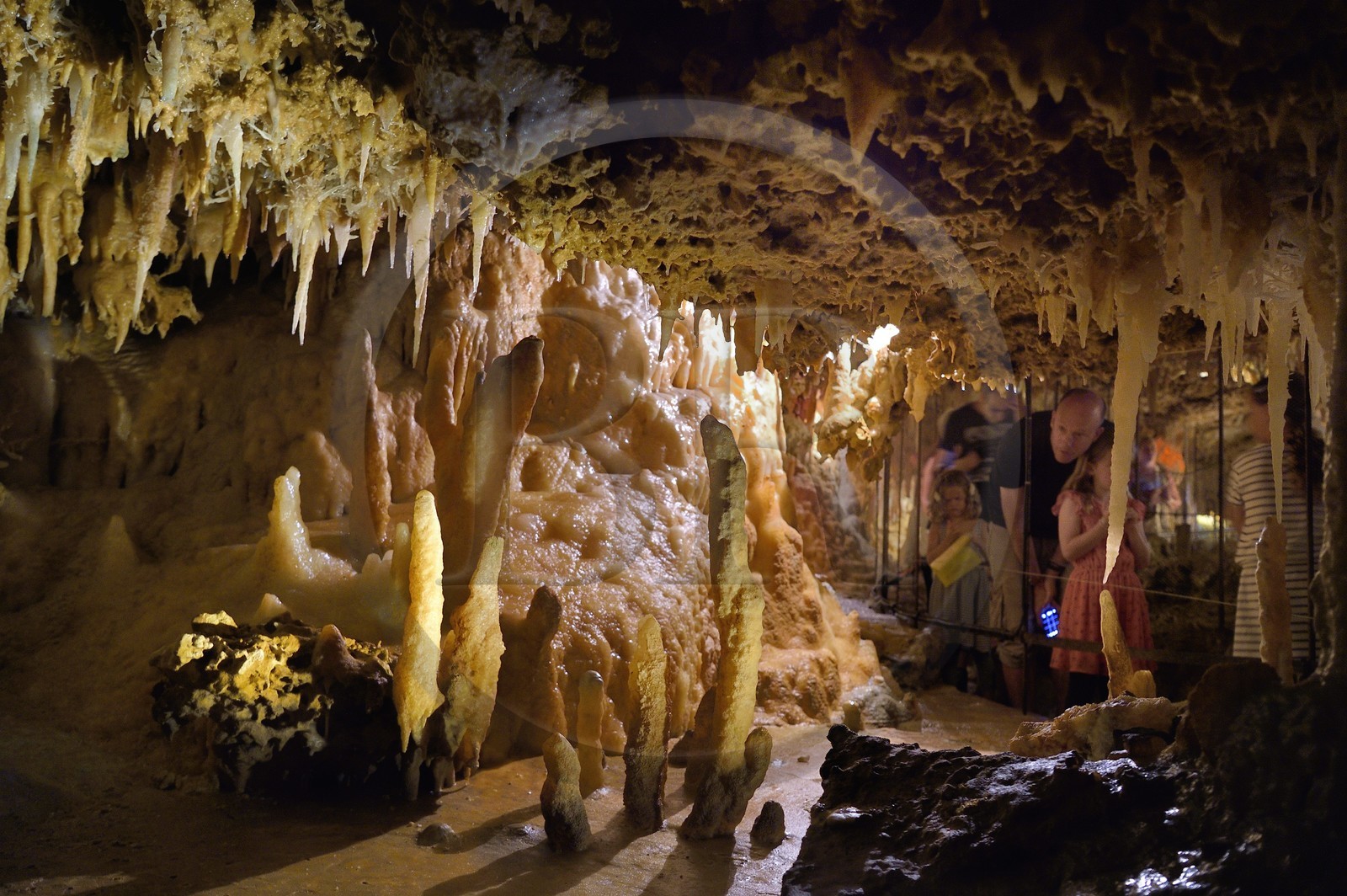 France, Dordogne, Périgord Noir, Les Eyzies-de-Tayac, a UNESCO World Heritage Site, tangle of crystallizations in the Grand-Roc cave