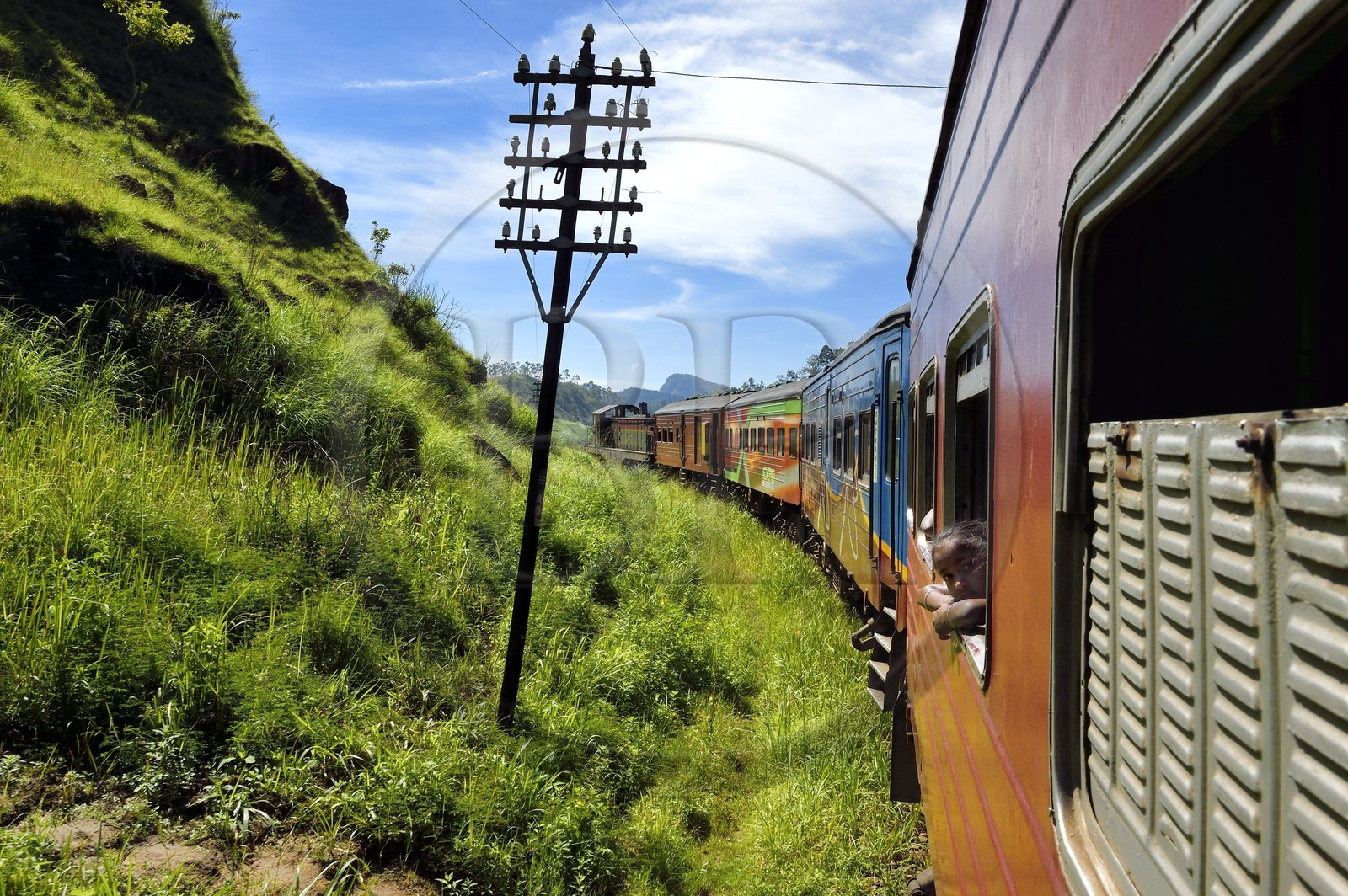 Sri Lanka, Province d'Uva, trajet en train dans la région montagneuse de la culture du thé entre Badulla et Ella