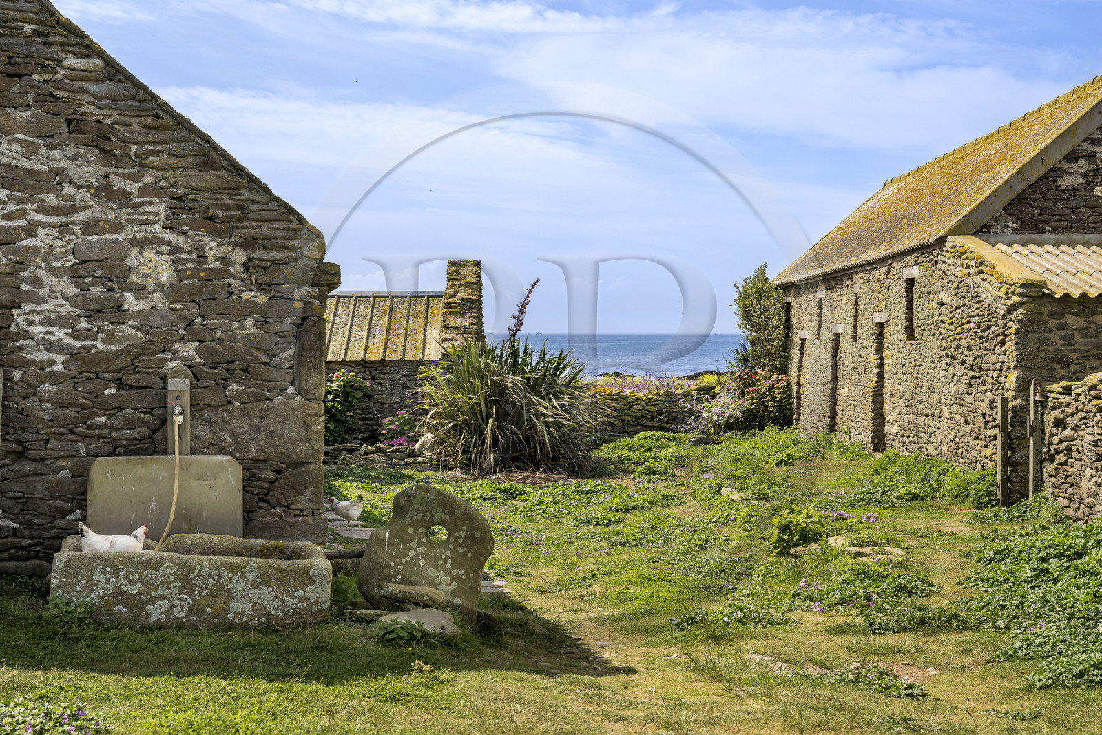 France, Finistère (29), Mer d'Iroise, archipel de Molène, Ile de Quéménès, ferme de Quéménès bio et autonome en énergie