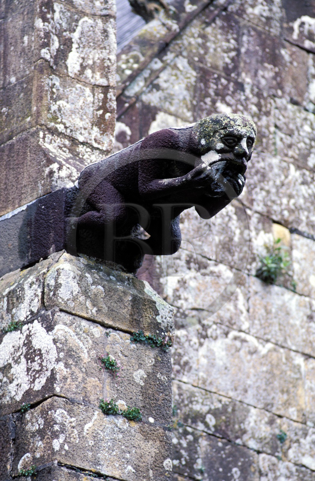 France, Finistère (29), Le Faou, labellisé Les Plus Beaux Villages de France, gargouille de l' église