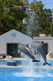 Portugal, Lisbon, Zoological Garden, the Dolphinarium, dolphins making the show