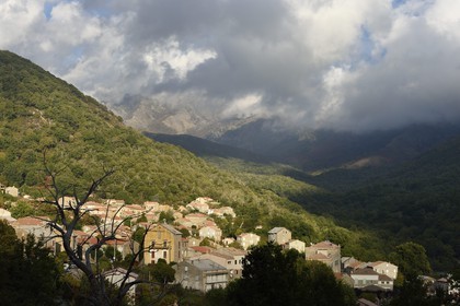 France, Corse du Sud, Prunelli river valley, Bastelica