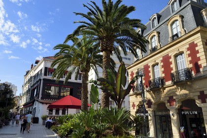 France, Pyrénées-Atlantiques (64), Pays-Basque, Biarritz, brasserie Le Royalty place Georges Clemenceau