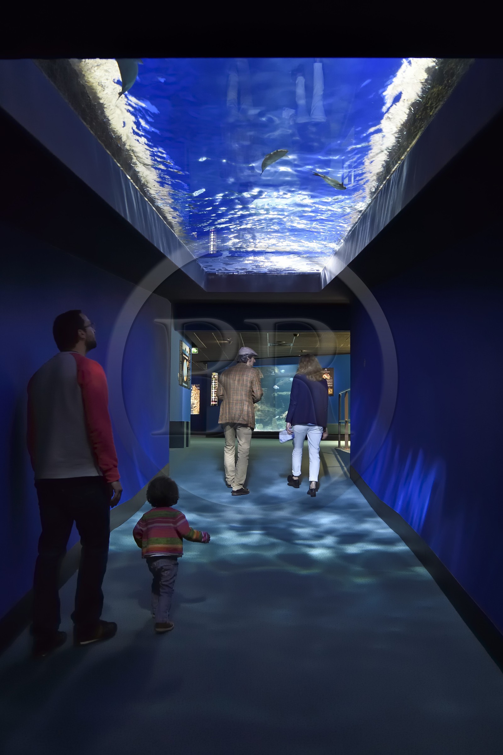 France, Charente-Maritime, La Rochelle, Aquarium La Rochelle, Compulsory Mention, reconstitution of a wave