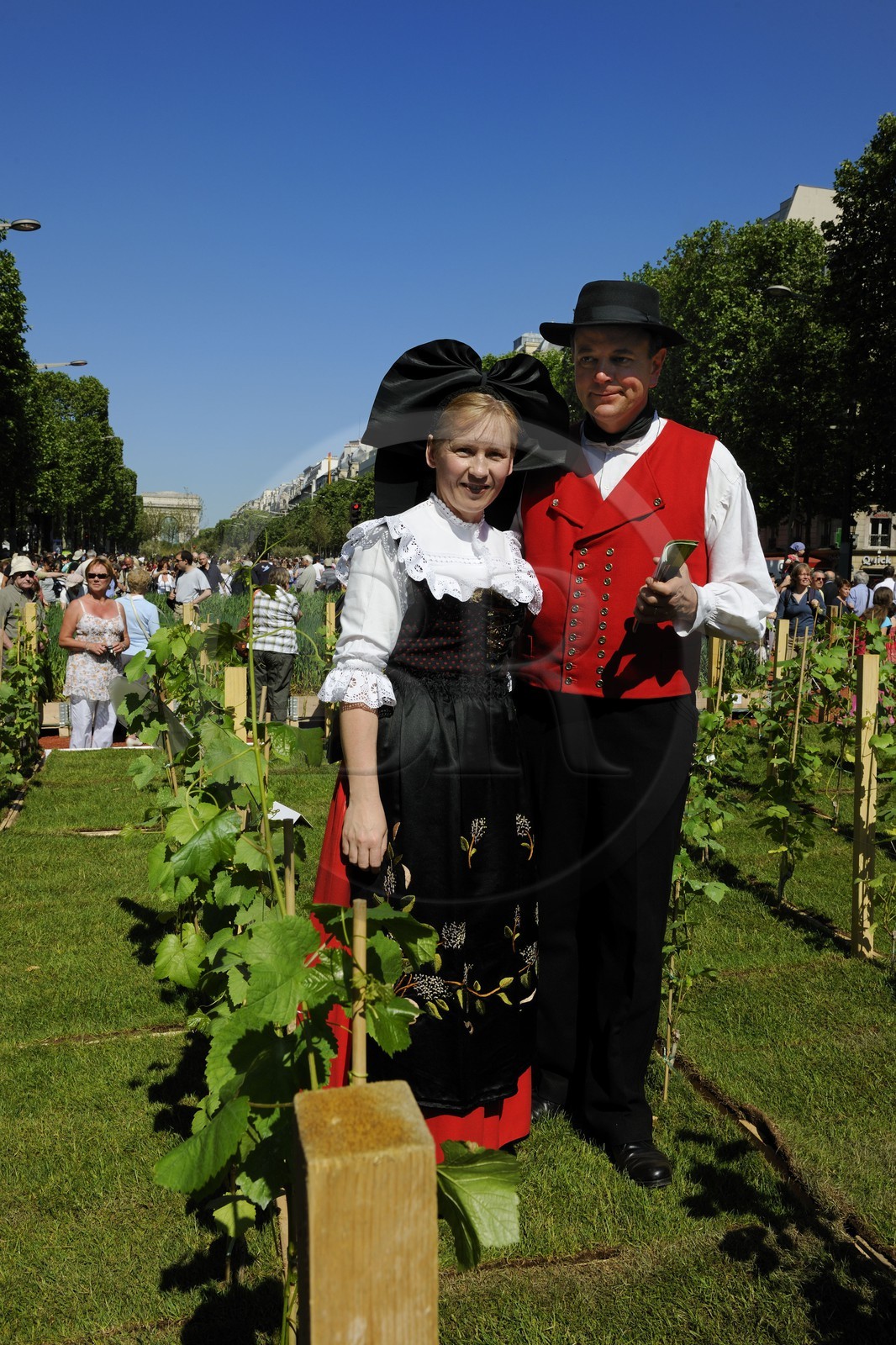 France, Paris (75), opération Nature Capitale 2010 sur les Champs-Elysées