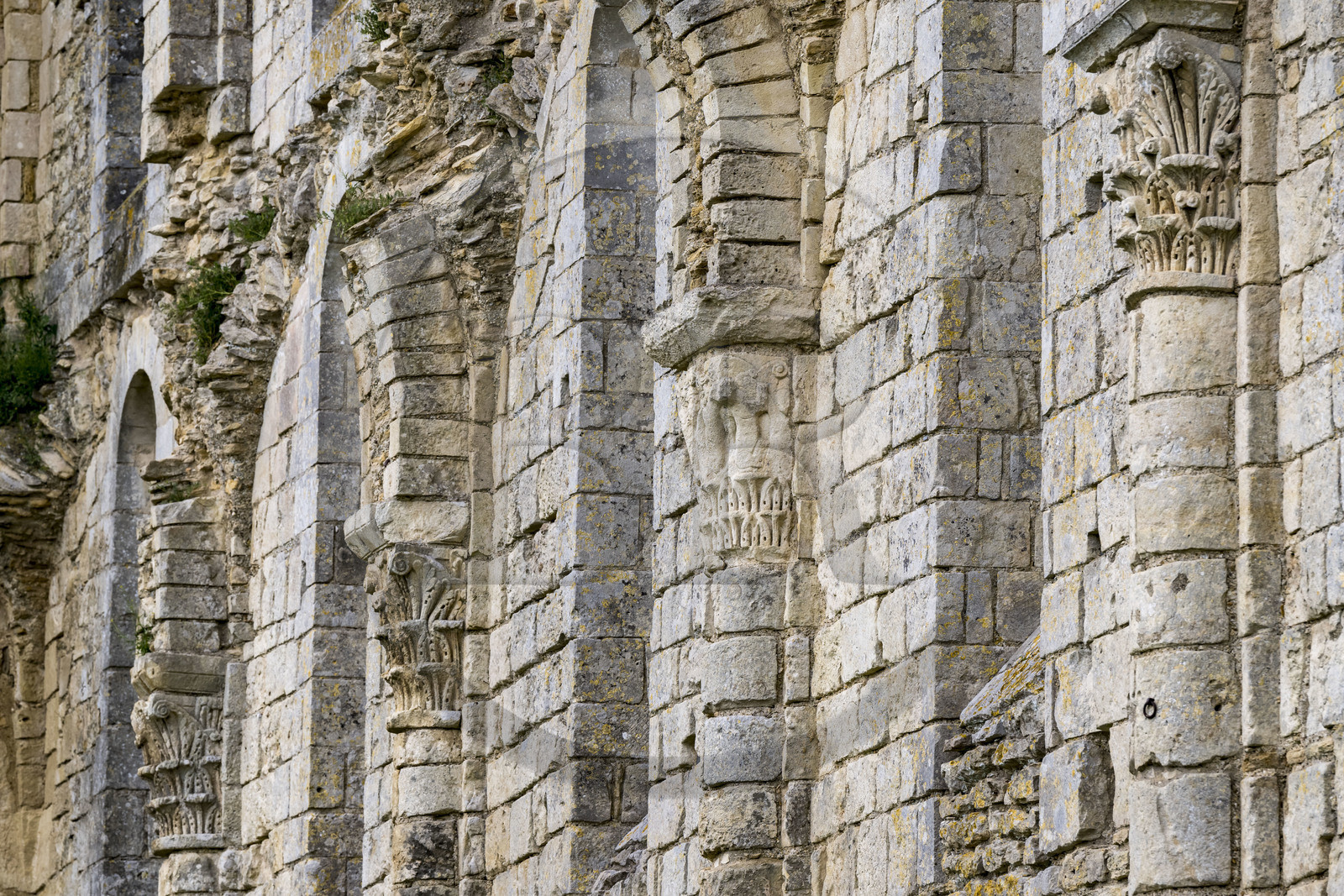 France, Vendée (85), Parc Interrégional du Marais Poitevin labellisé Grand Site de France, Maillezais, vestiges de l'abbaye Saint-Pierre de Maillezais, détail des murs de l'église abbatiale