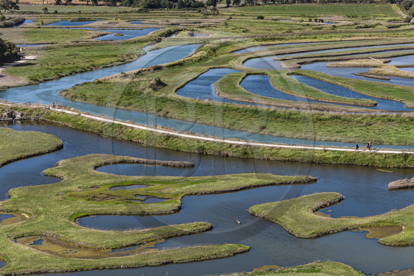 France, Vendée (85), Talmont-Saint-Hilaire, marais de la Guittière dans l'arrière pays de la Pointe du Payré, passage du Cul d’Ane, marais aménagés pour la pisciculture de dorades, mulets et anguilles (vue aérienne)