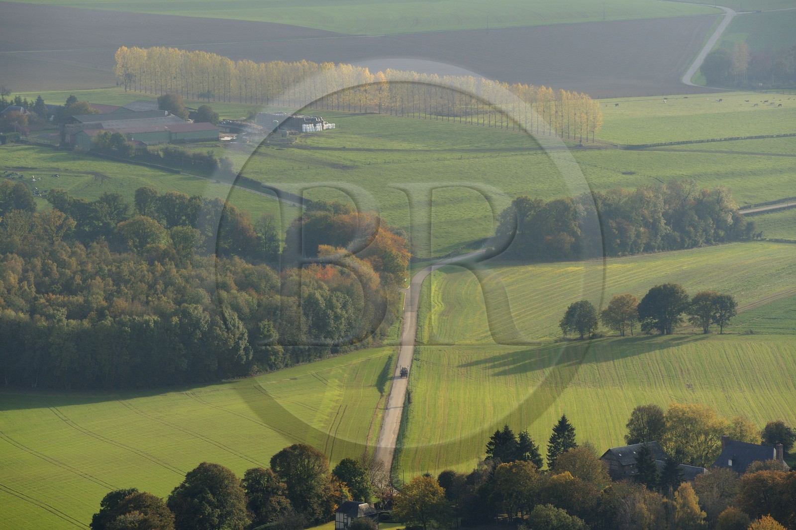 France, Seine-Maritime (76), route de campagne normande vers Bois-Héroult (vue aérienne)
