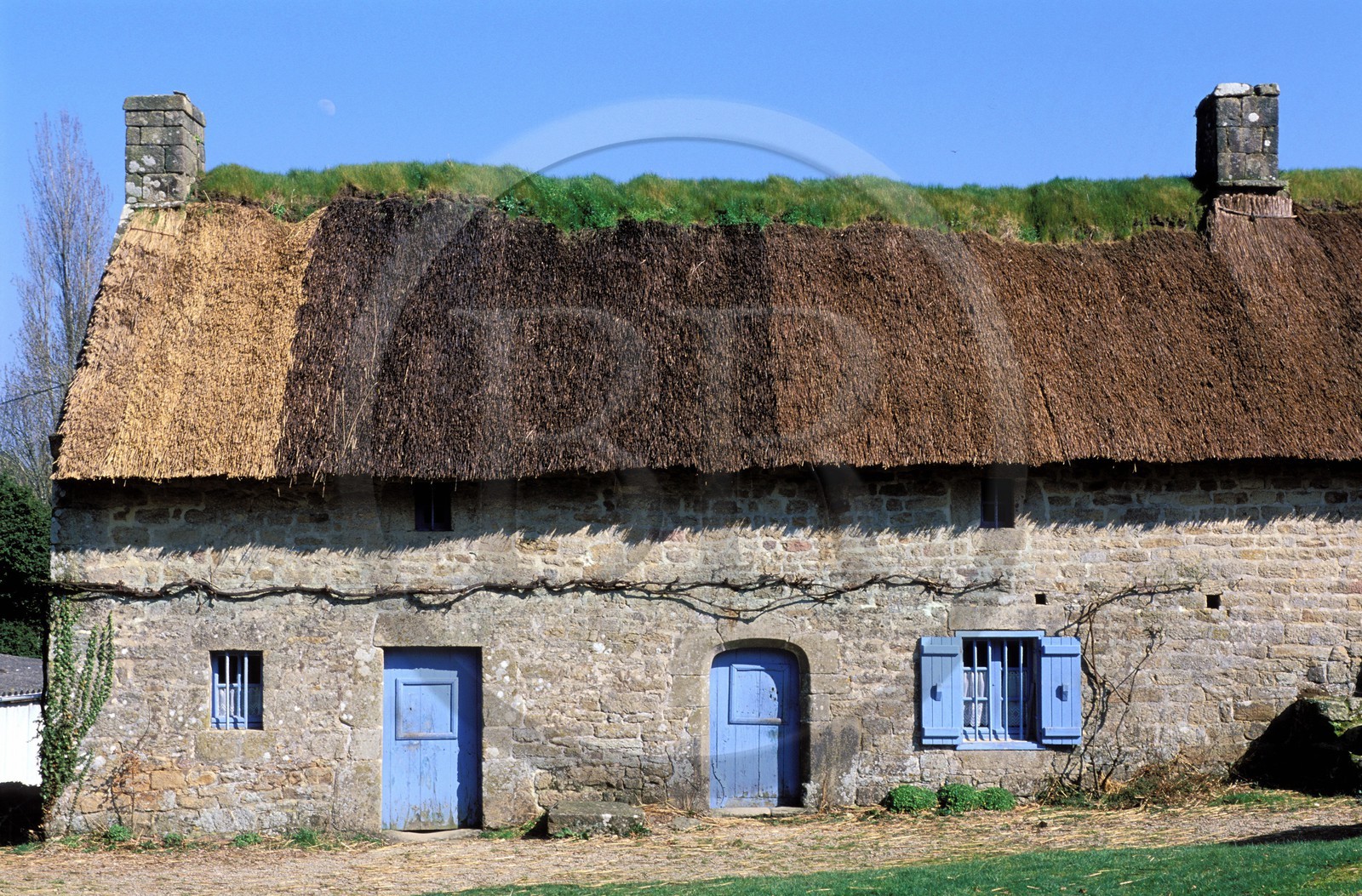 France, Morbihan (56), Ecomusée de Saint-Degan-en-Brech, reconstitution d'un village breton du 19ème siècle