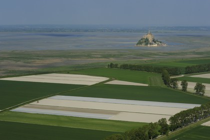 France, Ille-et-Vilaine (35), Baie du Mont Saint-Michel, les champs et les polders du Mont côté breton (vue aérienne)